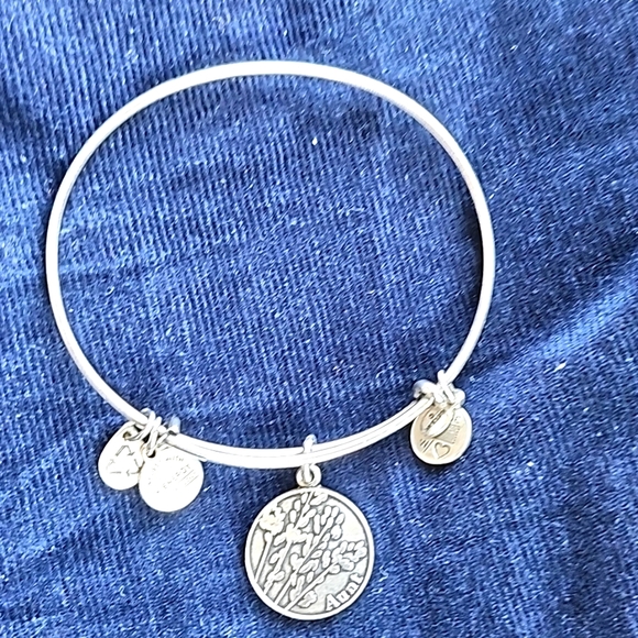 Alex and Ani Bangle - Silver - Picture 2 of 3